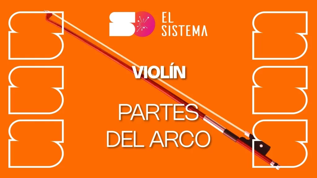 Partes del arco - violín
