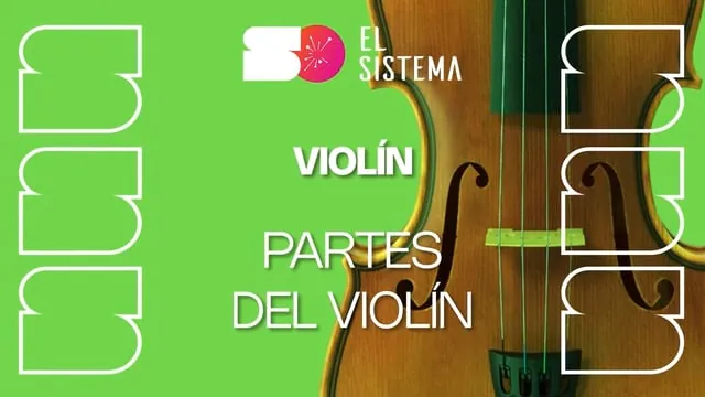 Partes del violín