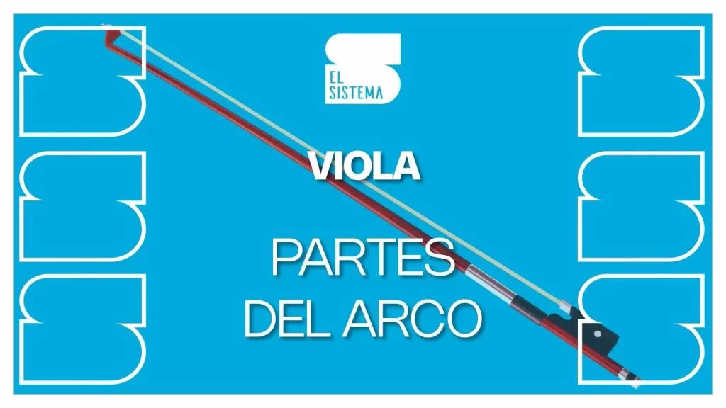 Partes del arco - viola
